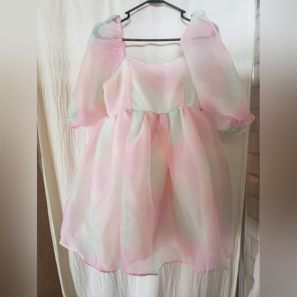 Puff Sleeve Tulle Dress